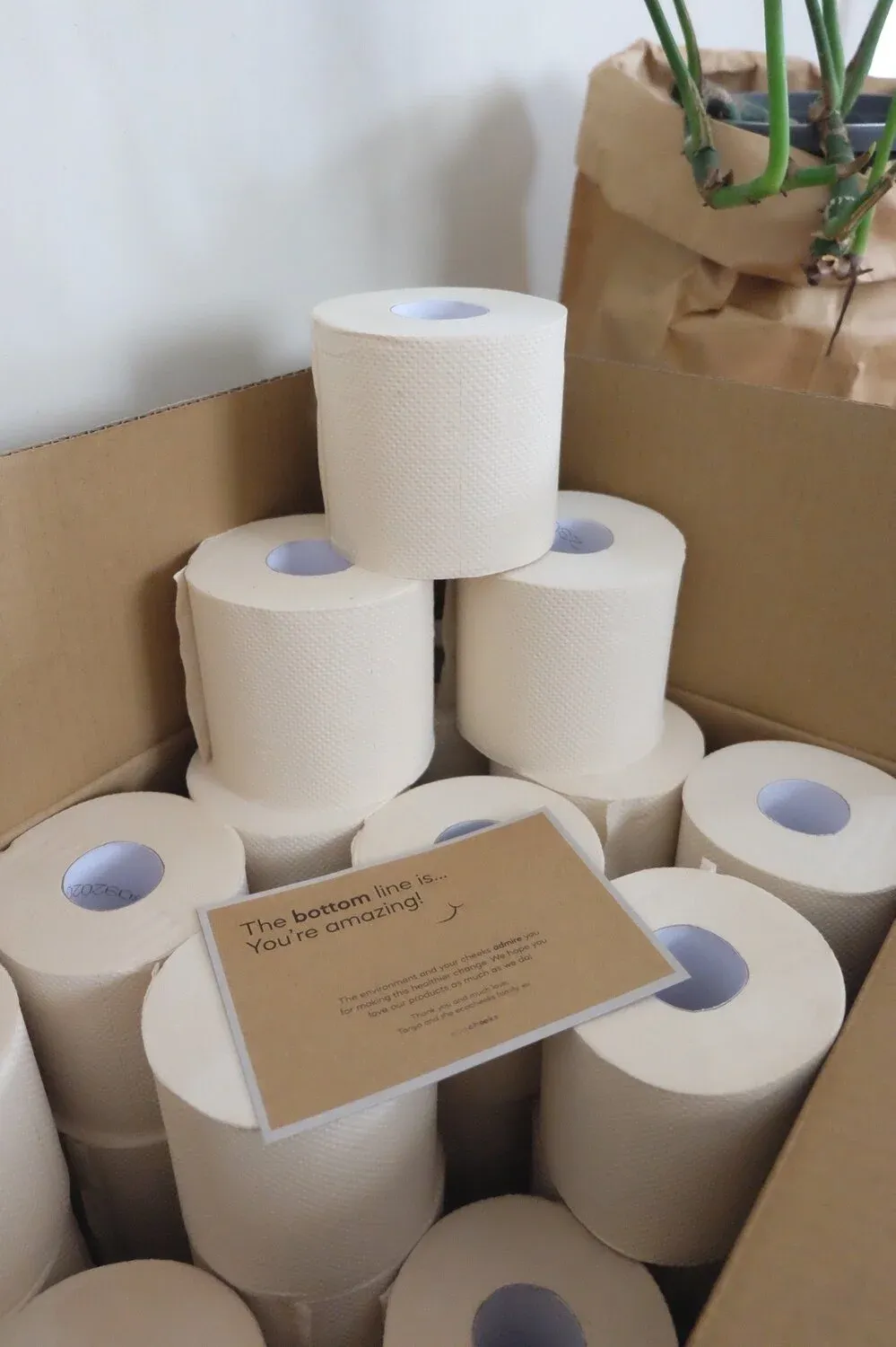 eco%252Bcheeks%252Btoilet%252Bpaper.jpg